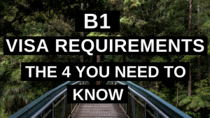 B1 Visa Requirements [The 4 You Need to Know]